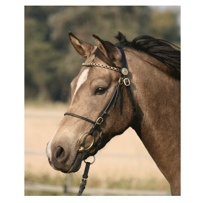 1011 HB Luxe Voorbrenghoofdstel Pony