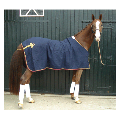 1203 HB Luxe Wollen Statiedeken Blauw met bordeaux bies 195cm