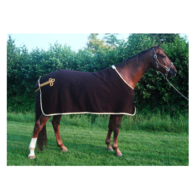 1203 HB Luxe Wollen Statiedeken Bruin met beige bies 205cm