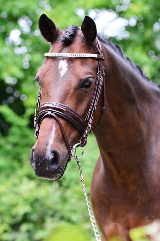 367 HB Hoofdstel Durbery