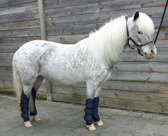 1303 HB transport beschermers little sizes