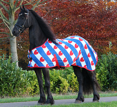 Fleece deken Fries vlag 220 grams