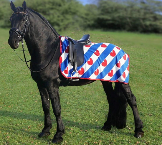 Uitrijdeken Fries Vlag