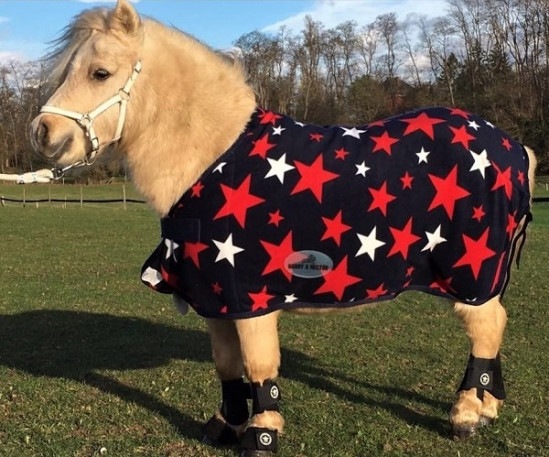 Fleece deken Star Pony, Harry and Hector 