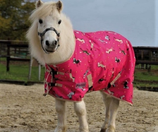 Fleece deken Jolly Pony, Harry and Hector 