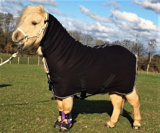Fleece deken met hals zwart, Harry and Hector