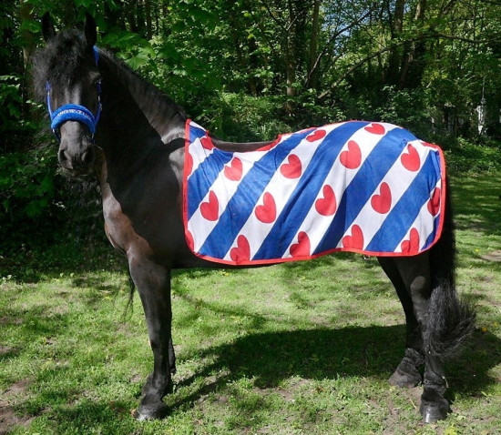 Vliegen uitrijdeken Fries vlag - Fryske