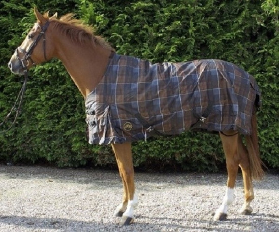 Outdoordeken 600 D - 300 grams is vier kleuren 