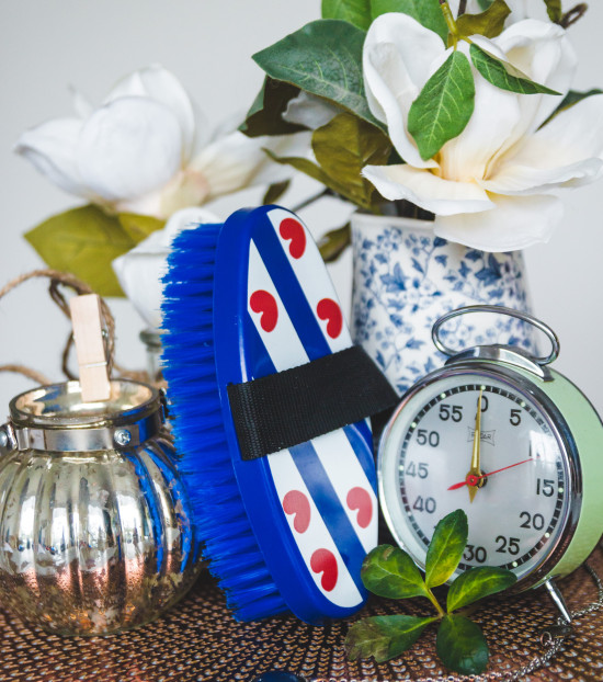 1640Fr HB Friese vlag Body brush