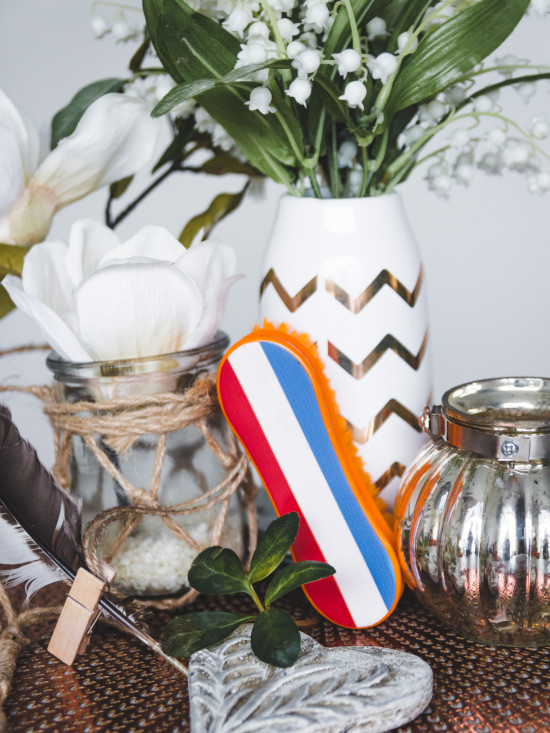 1642 HB Holland hoofdborstel