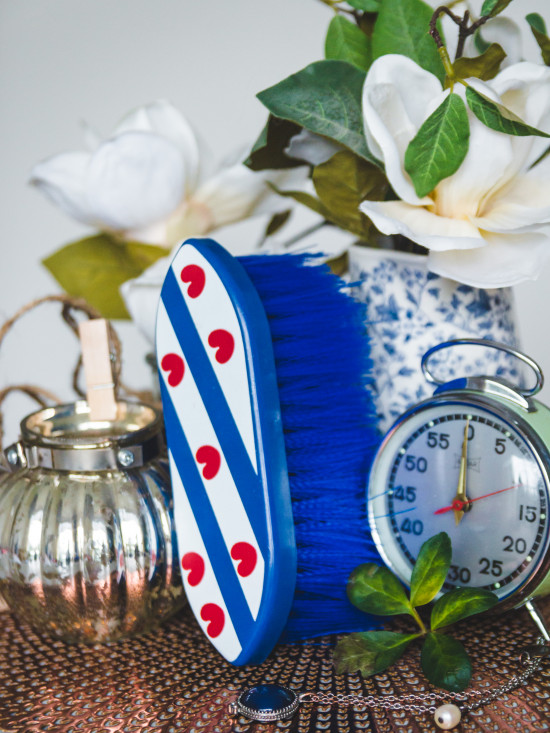 1643Fr HB Friese vlag dandy brush