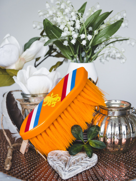 1643 HB Holland Dandy brush