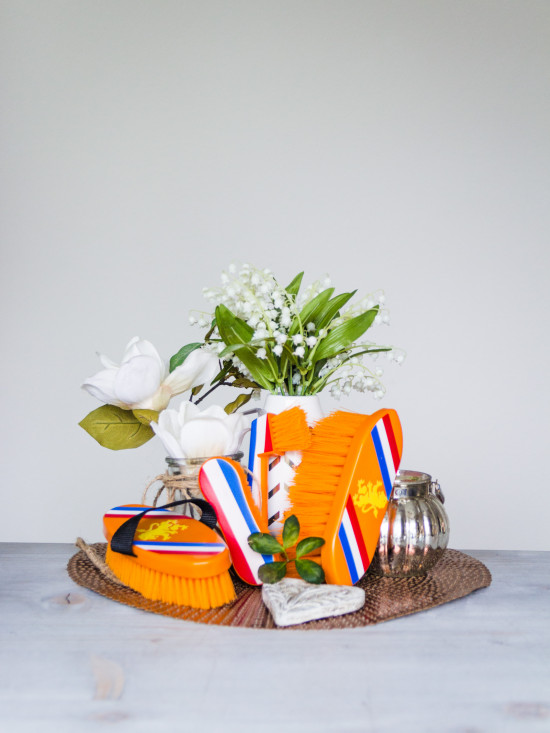 1644 HB holland set borstels 