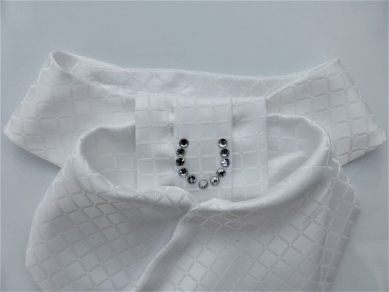 Plastrons Horse Shoe or Flower