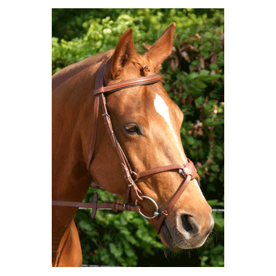 306 HB Hoofdstel Mexicaans RVS Zwart Pony