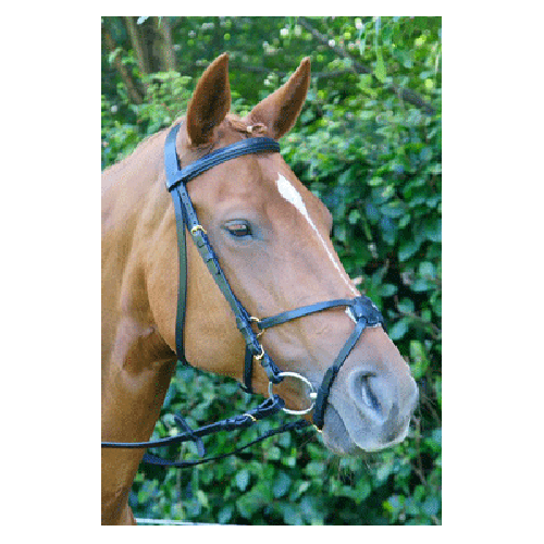 307 HB Hoofdstel Mexicaans Gold Plated
