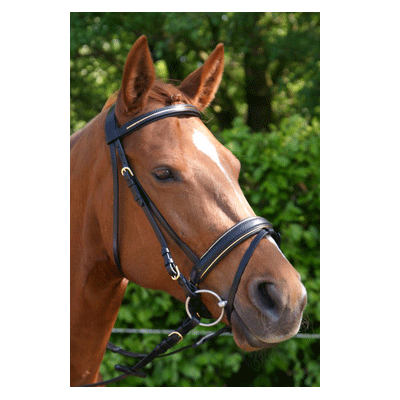 309 HB Luxe Hoofdstel Goldline Zwart Cob