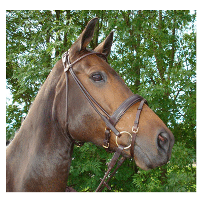 311GP HB Hoofdstel Turijn Gold Plated Bruin Cob