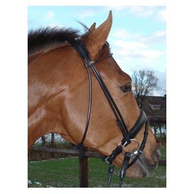 311 HB Hoofdstel Turijn RVS Zwart Pony