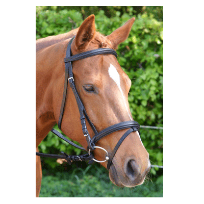 313 HB Luxe Hoofdstel Havana pony