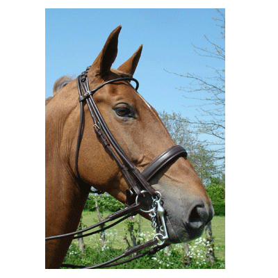 314A HB Hoofdstel Monaco Bruin Cob