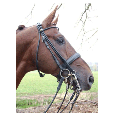 314 HB Hoofdstel Monaco Zwart Cob