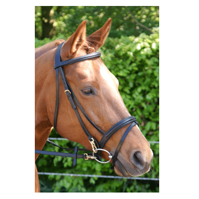 315 HB Hoofdstel Milano Zwart Pony
