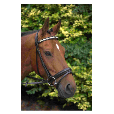 328 HB Hoofdstel Flowers Zwart Pony