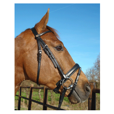 332 HB Hoofdstel Lissabon Chocoladebruin met bruin onderlegd Full