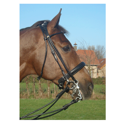 339 HB Hoofdstel London Zwart Cob