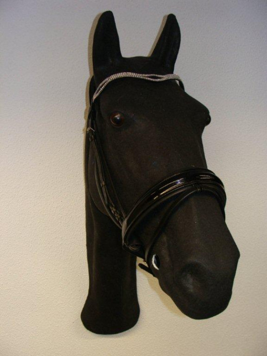 369 HB Hoofdstel Louisiana Cob