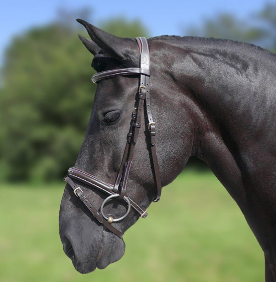 377 HB Show-time Hoofdstel Design