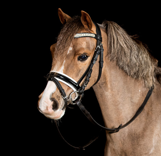 Hoofdstel Showtime Glamerdale Pony