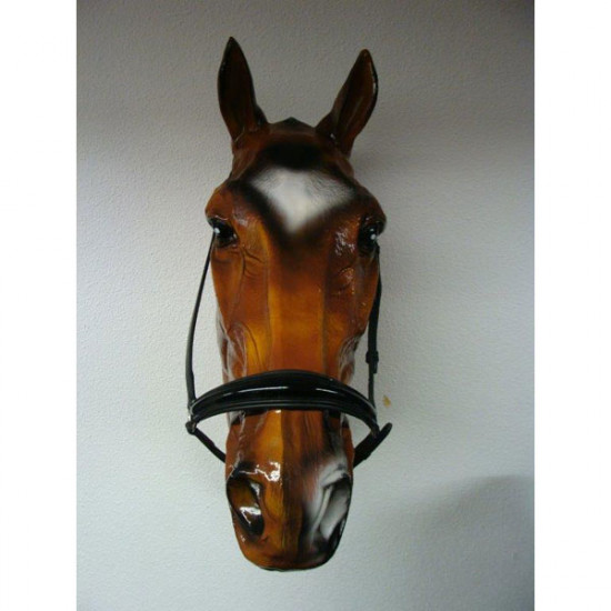 420 HB Africhtingsneusriem Zwart Pony