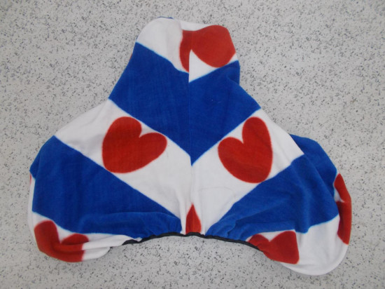 Friesche zadelhoes