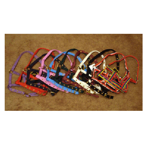 706 HB Nylon Veulenhalster