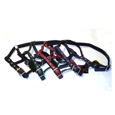 707 HB Nylon Veulenhalster Neopreen Zwart