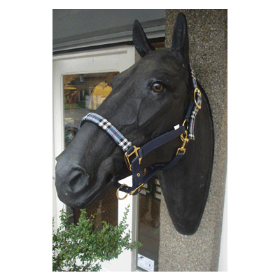 719 HB Nylon Halster Special Edition Blauw/Zwart Shetland