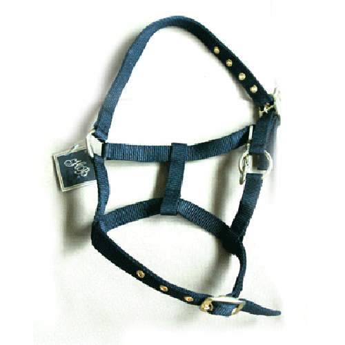 720 HB Nylon Veulenhalster