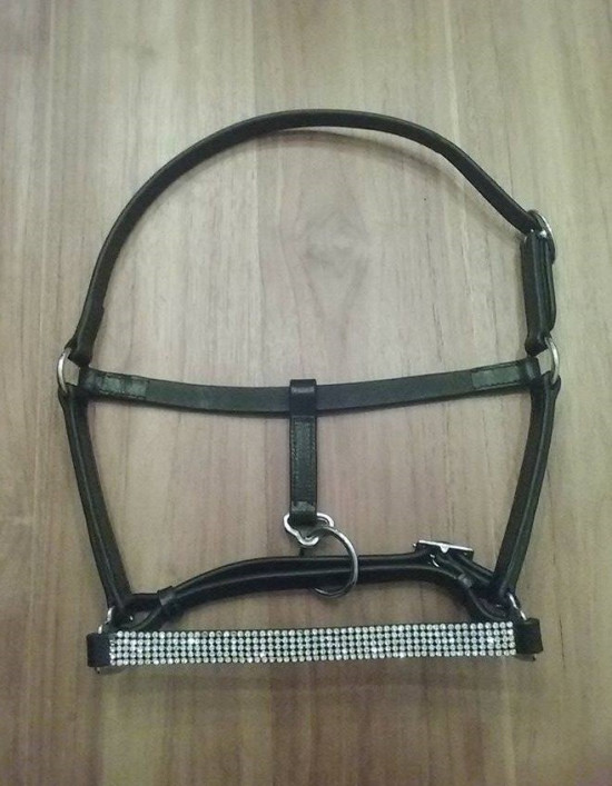 728 HB lederen veulen halsters steentjes