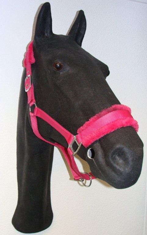 733 HB Halster Teddy Fuchsia Cob