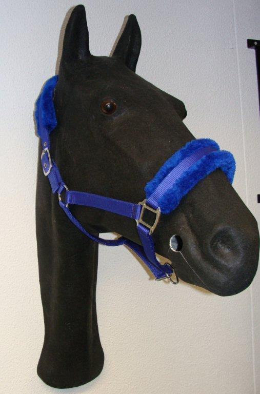 733 HB Halster Teddy Royal Blue Cob