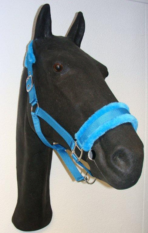 733 HB Halster Teddy Turqouise Cob