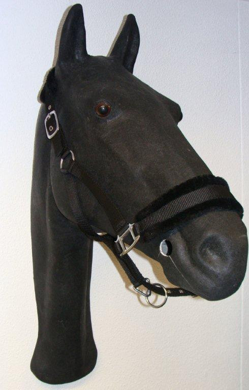733 HB Halster Teddy Zwart Cob