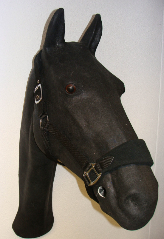 734 HB Bellwood Halster Pink Cob