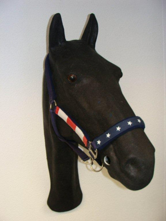 735 HB halster Padded Stars look