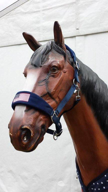 736 HB halster Bellwood going to America Pony