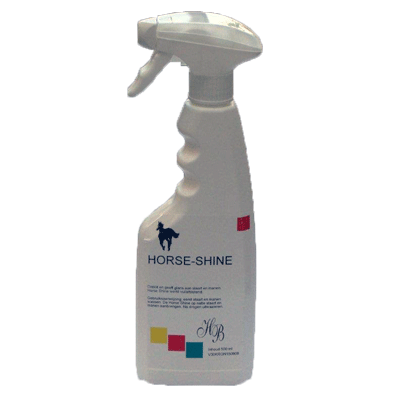 807 HB Horse Shine