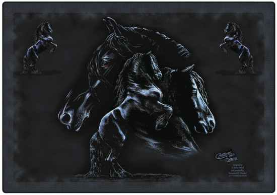 B-31 Friesche Placemat 