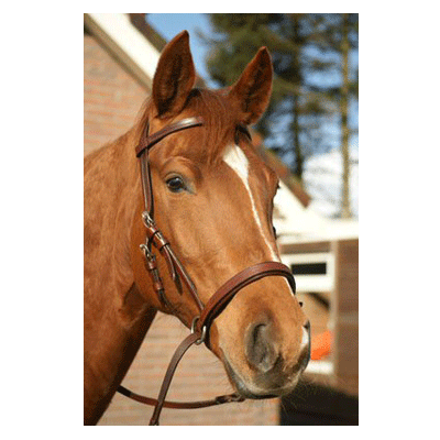 399 HB Bitloos Hoofdstel Zwart Full